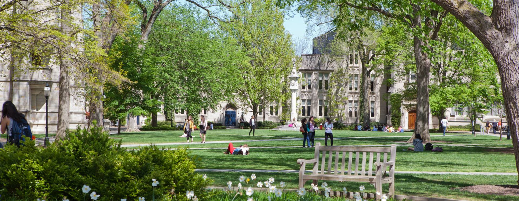Students on a university quad in spring